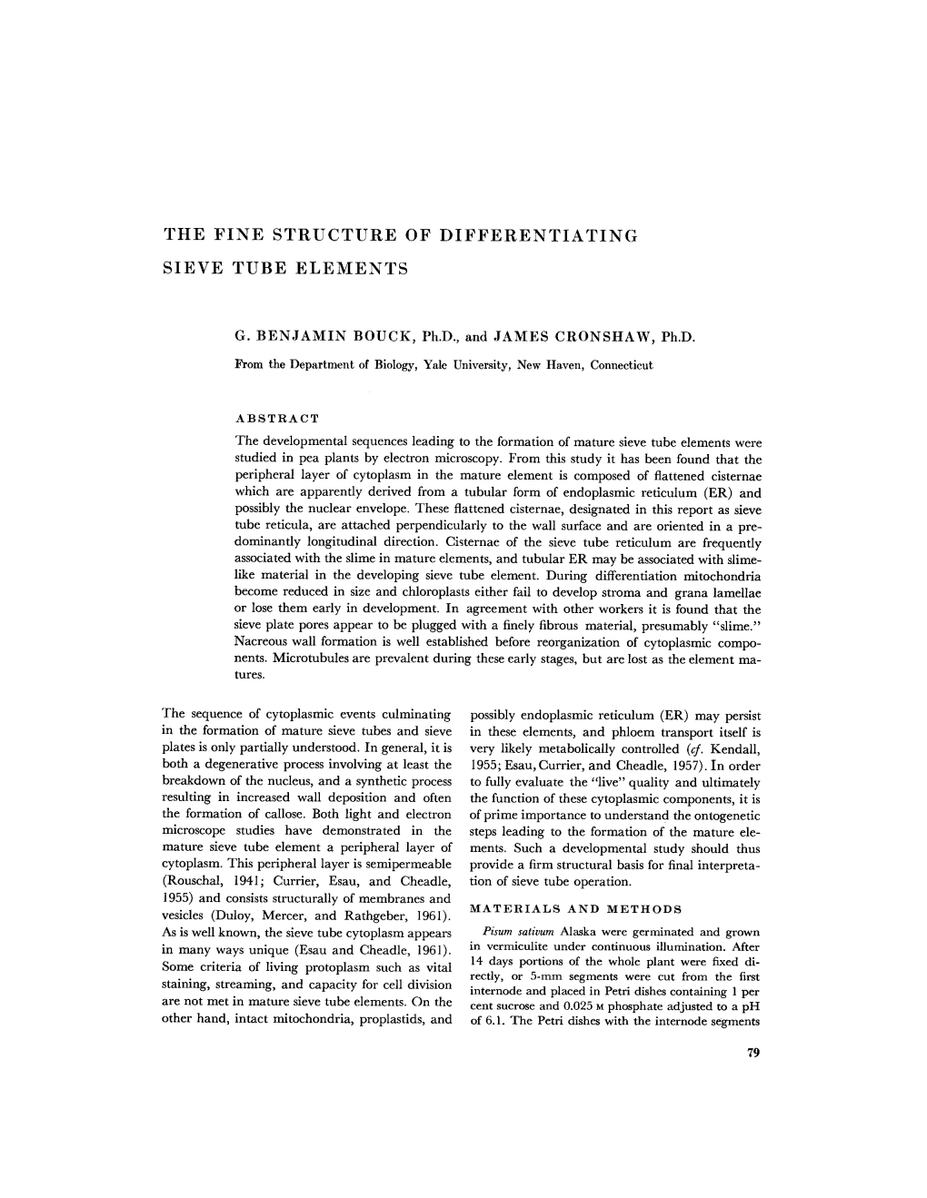 The Fine Structure of Differentiating Sieve Tube Elements