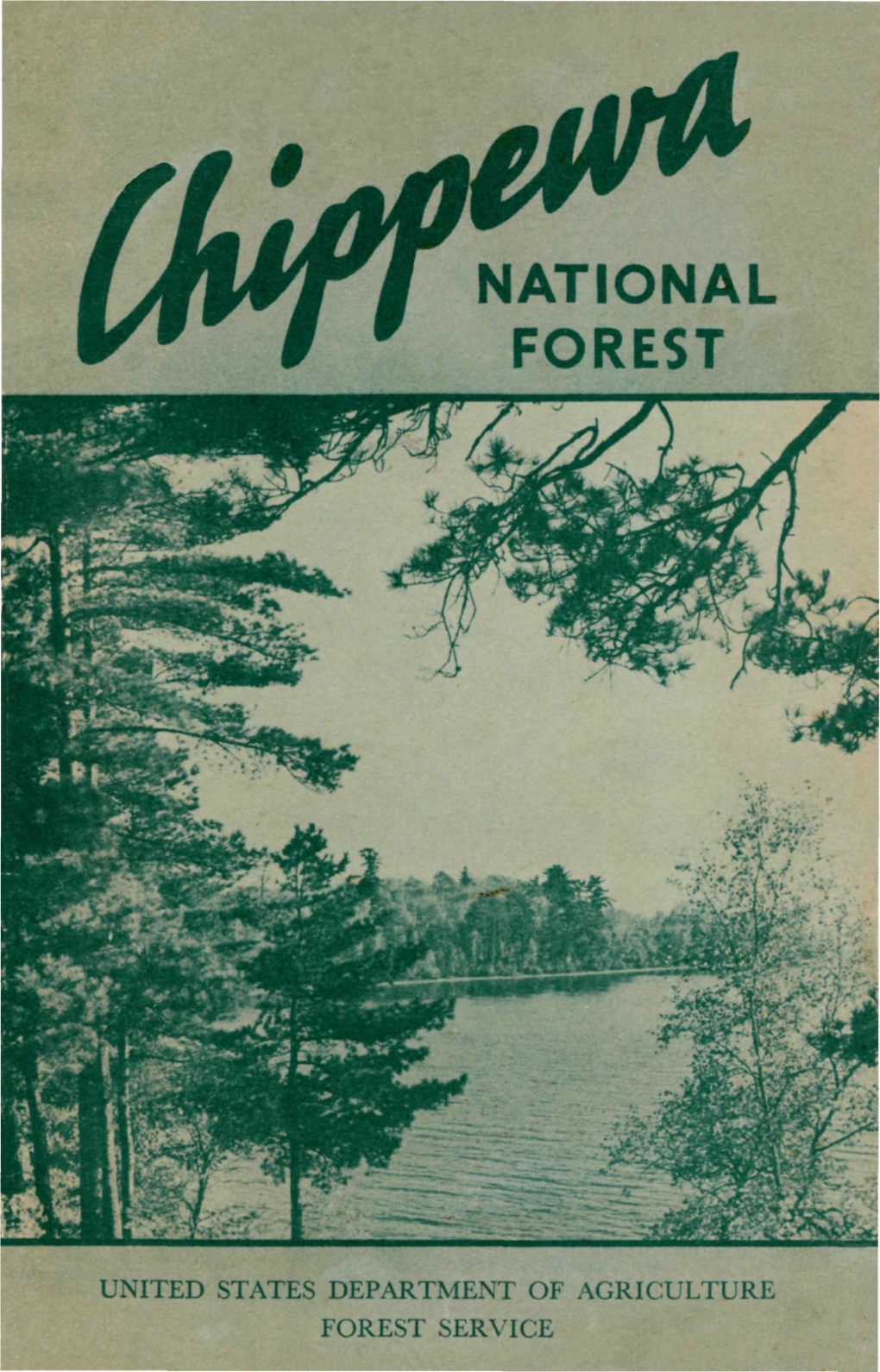 National Forest