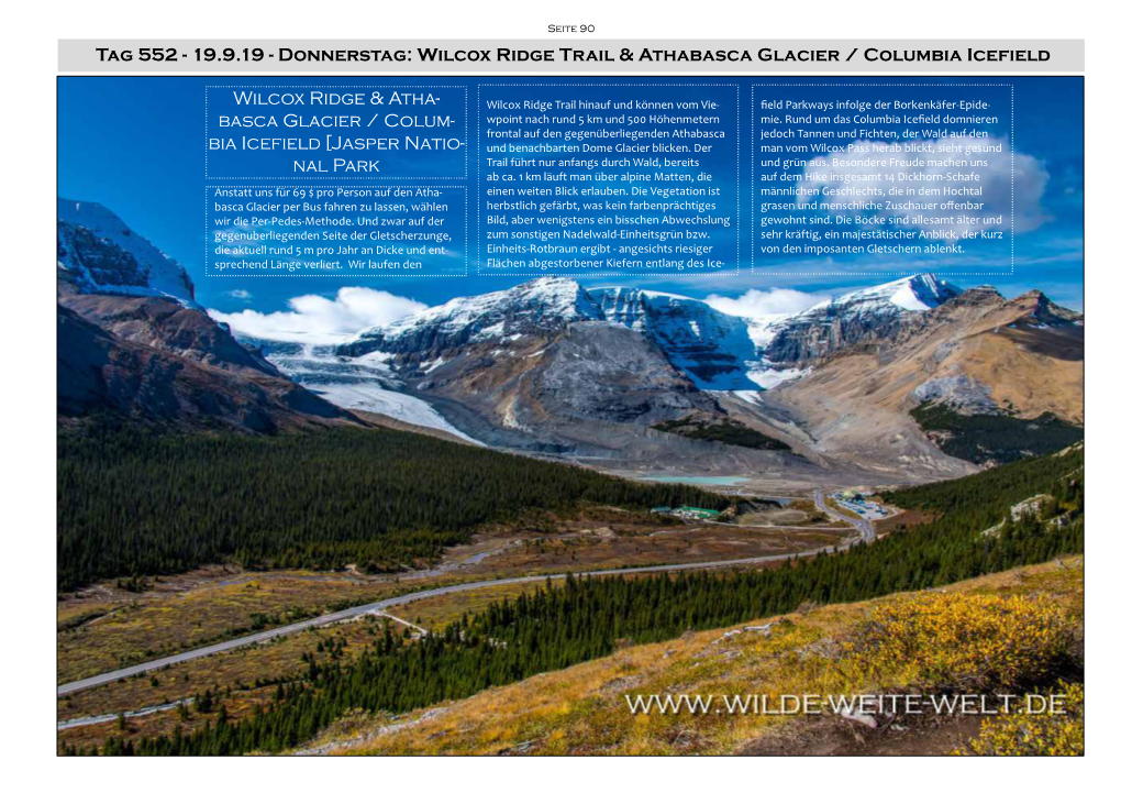 Basca Glacier / Columbia Icefield