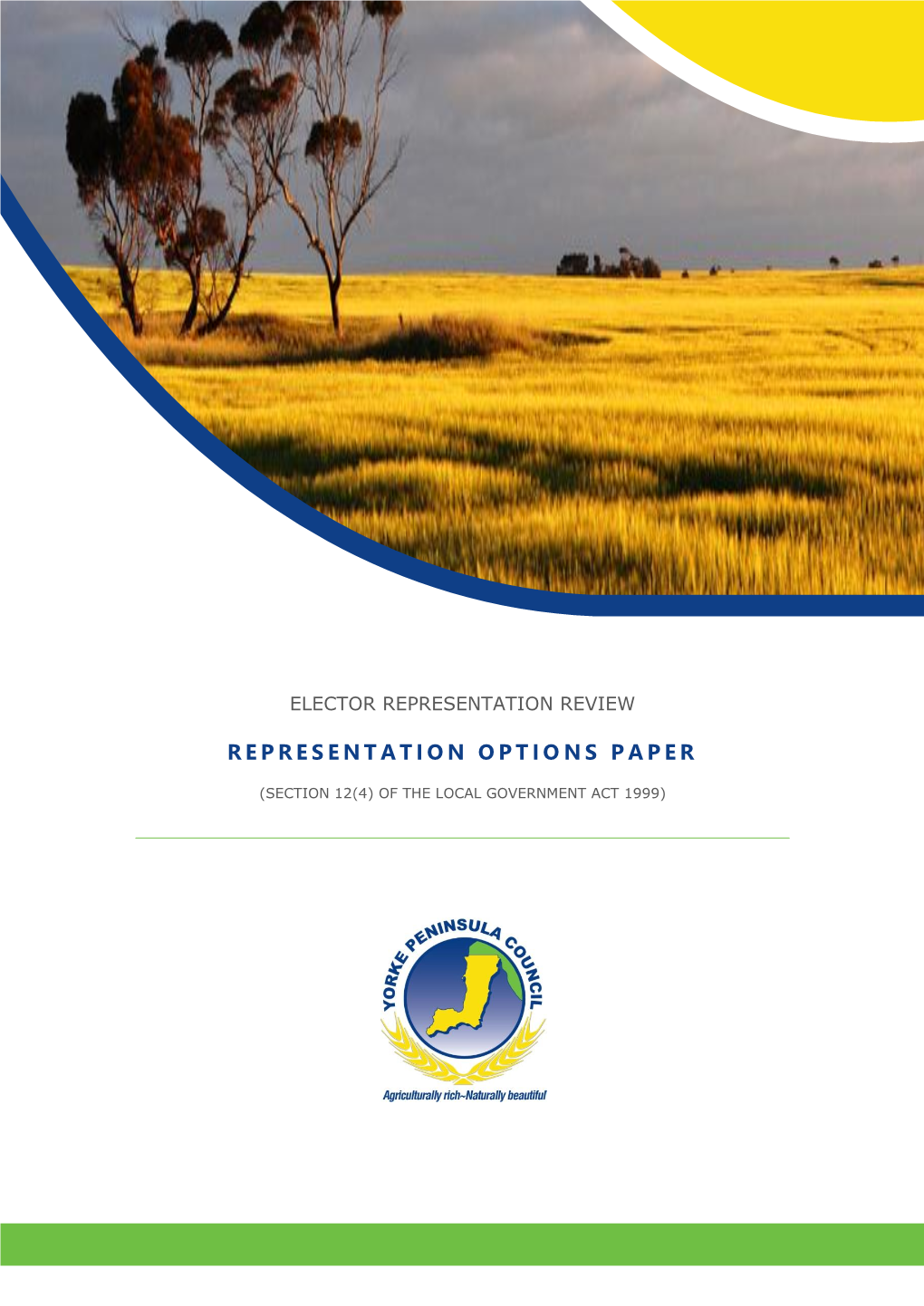 Elector Representation Review – Representation Options Paper
