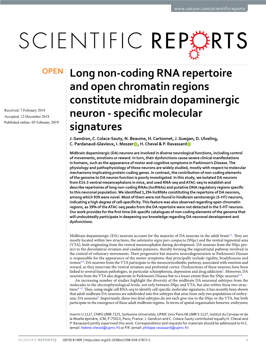 Long Non-Coding RNA Repertoire and Open Chromatin Regions Constitute