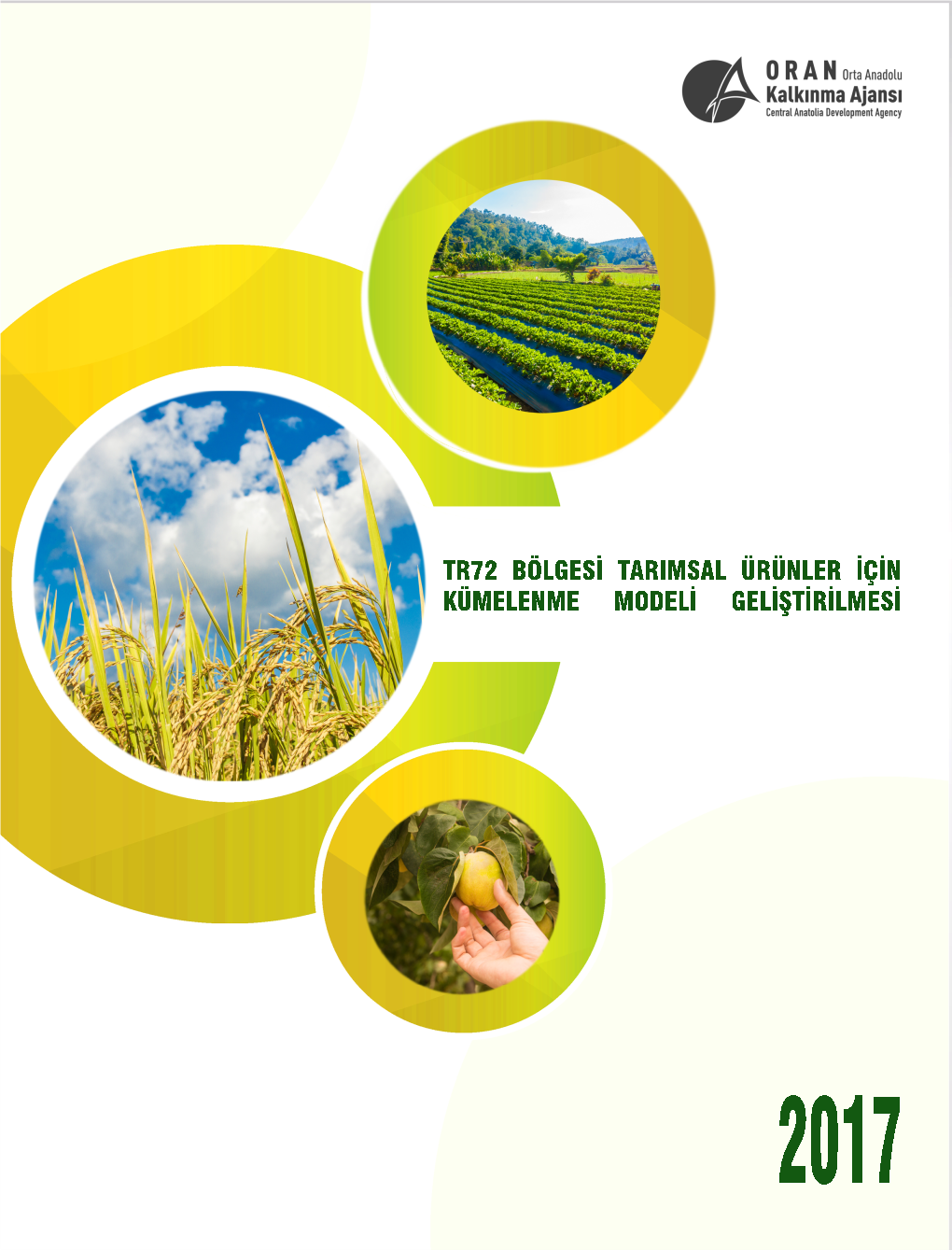 TR72 Bölgesi Tarımsal Ürünlerin Kümelenme Modeli Geliştirilmesi