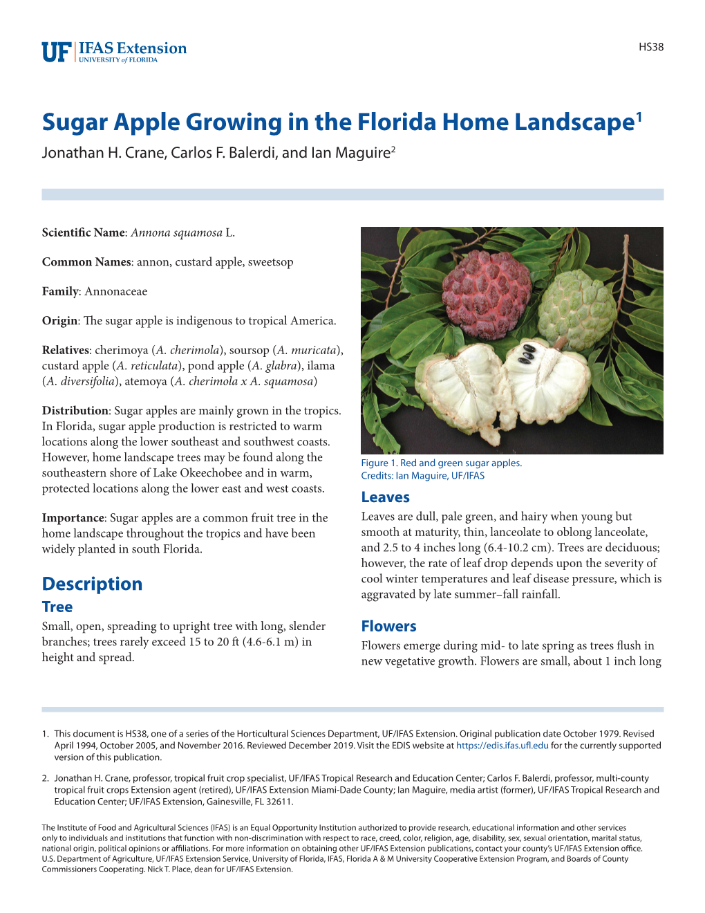 Sugar Apple Growing in the Florida Home Landscape1 Jonathan H