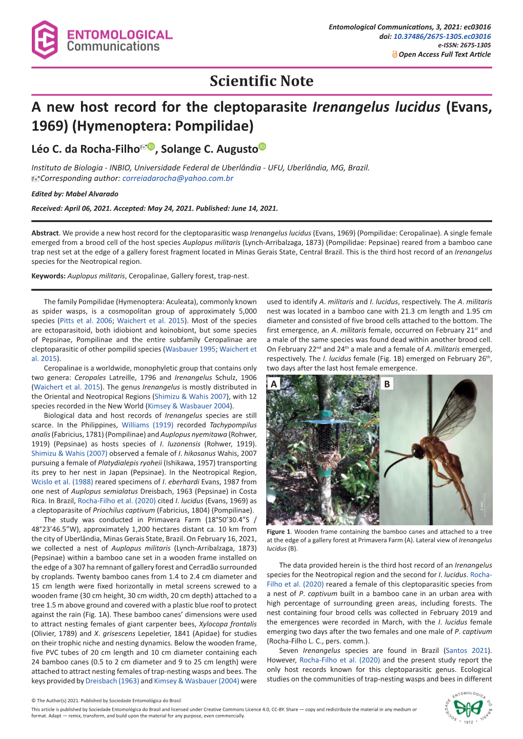 A New Host Record for the Cleptoparasite Irenangelus Lucidus (Evans, 1969) (Hymenoptera: Pompilidae) Léo C