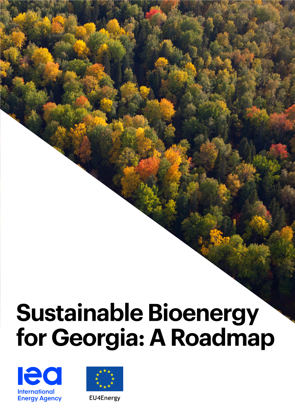 Sustainable Bioenergy for Georgia: a Roadmap Sustainable Bioenergy for Georgia: a Roadmap Sustainable Bioenergy for Georgia: a Roadmap Table of Contents