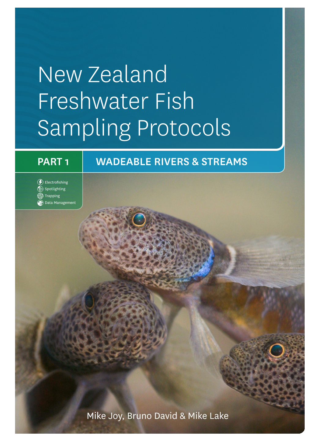 New Zealand Freshwater Fish Sampling Protocols