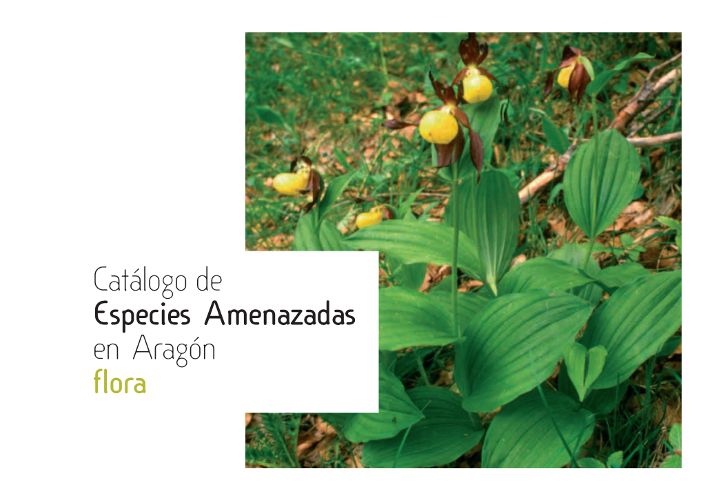 Catálogo De Especies Amenazadas En Aragón. Flora