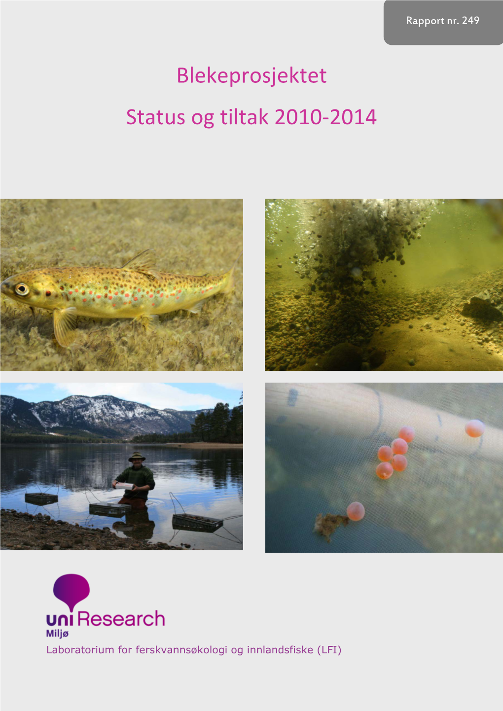 Blekeprosjektet Status Og Tiltak 2010-2014
