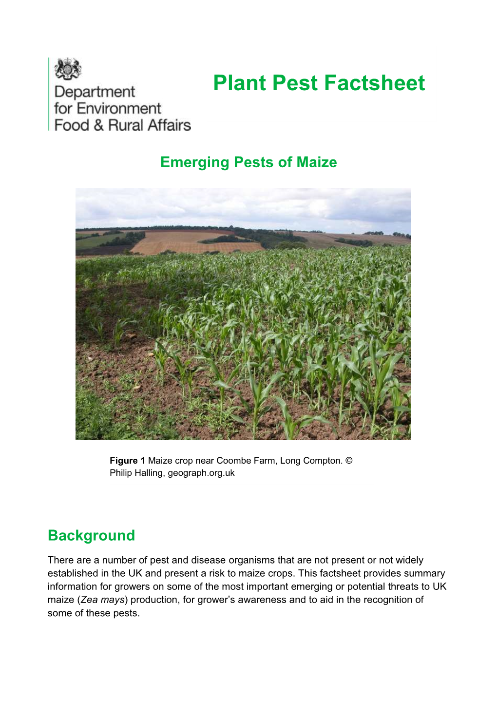 Emerging Pests of Maize