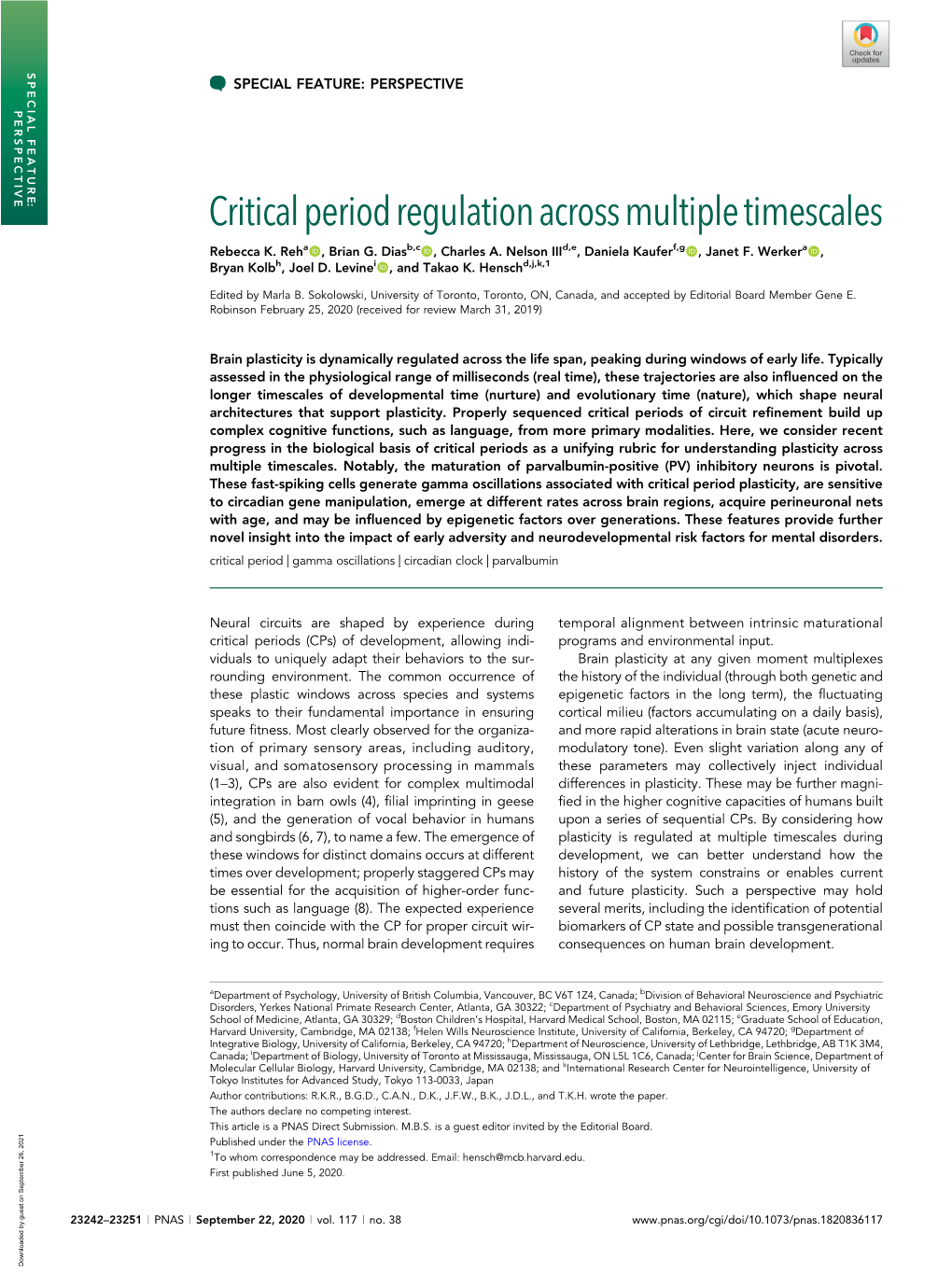 Critical Period Regulation Across Multiple Timescales