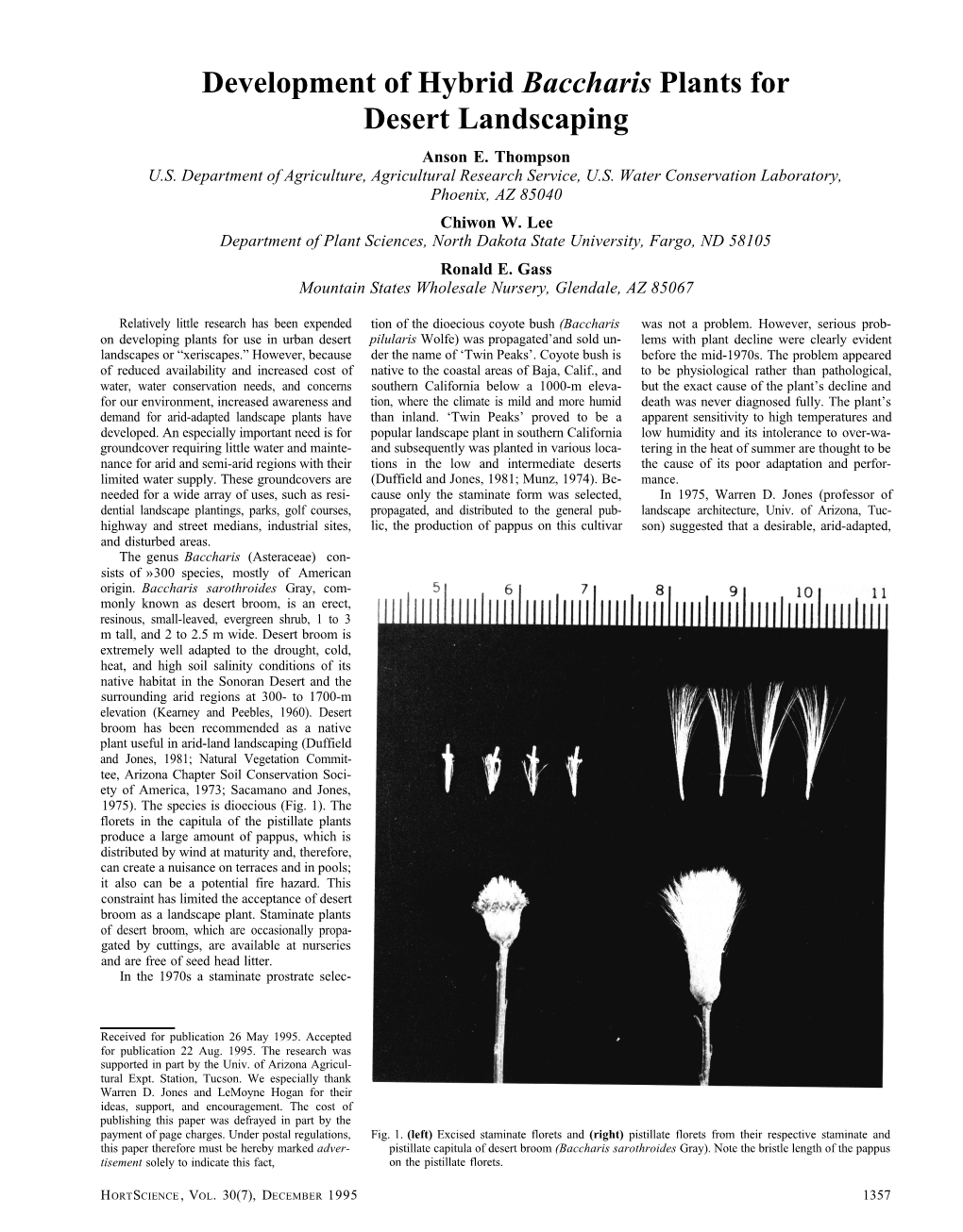 Development of Hybrid Baccharis Plants for Desert Landscaping Anson E