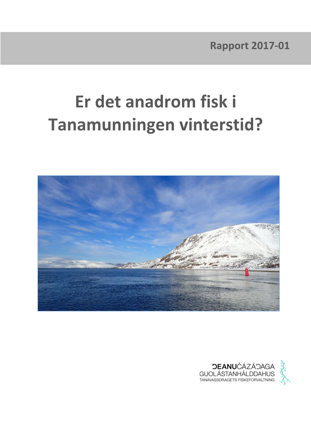 Er Det Anadrom Fisk I Tanamunningen Vinterstid?