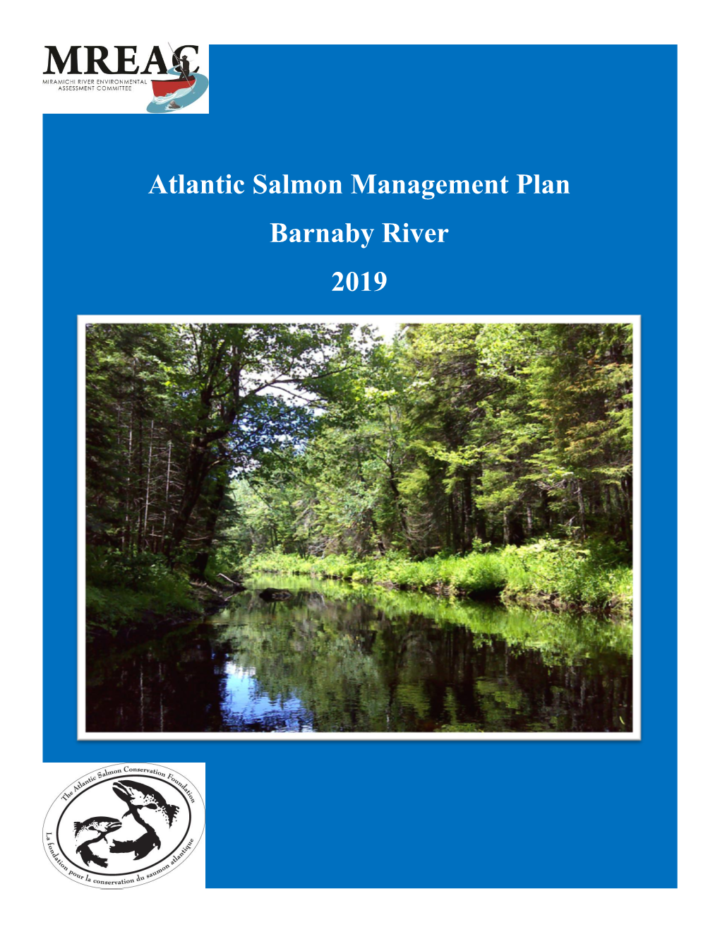 Atlantic Salmon Management Plan Barnaby River 2019