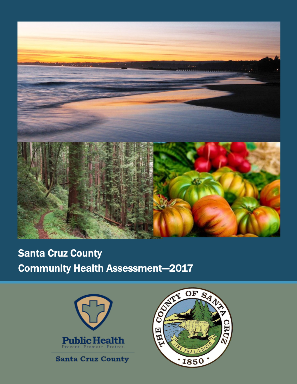 2017 Santa Cruz County Community Health Assessment Report