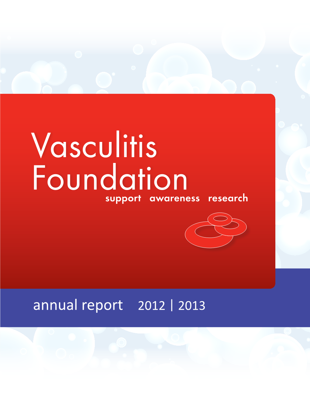 VF Annual Report 2012 – 2013