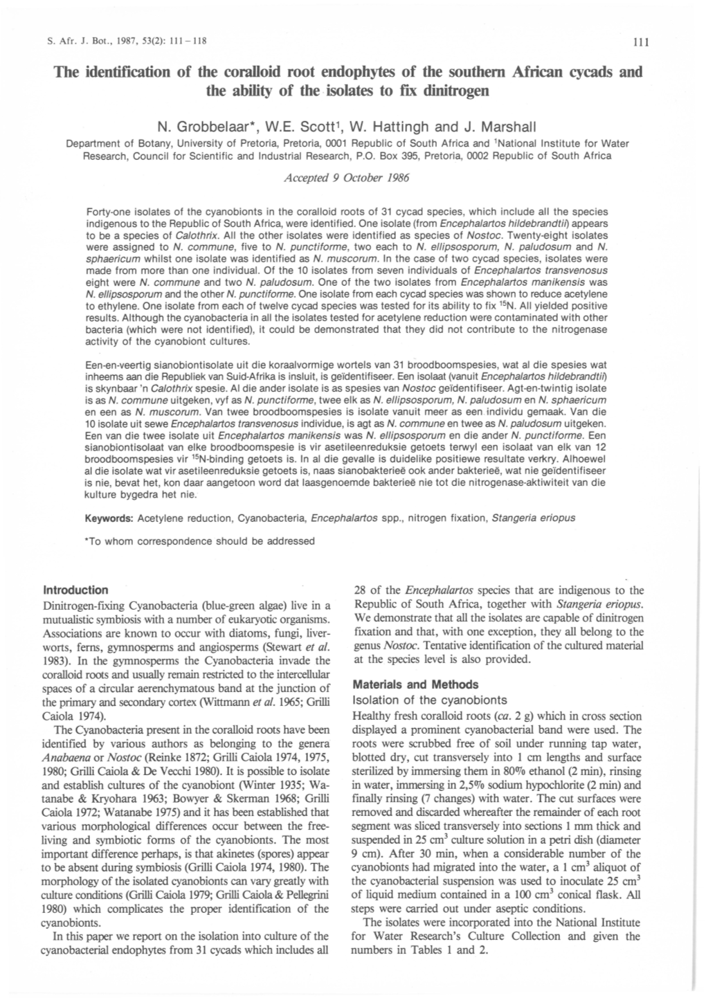 The Identification of the Coralloid Root Endophytes of the Southern African Cycads and the Ability of the Isolates to Fix Dinitrogen