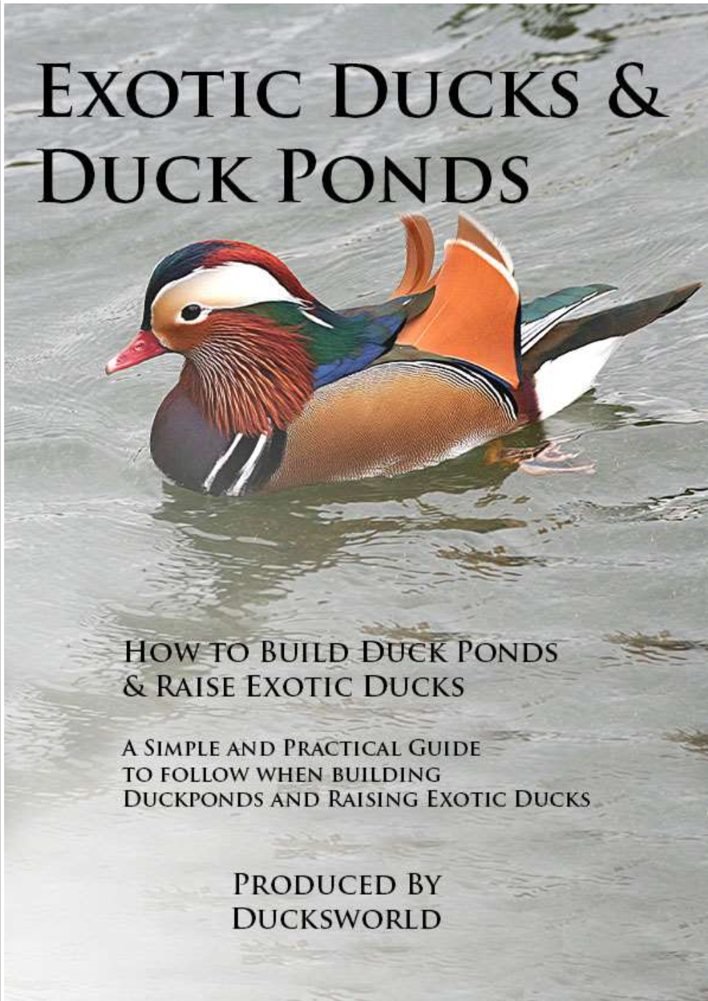 Duck Ponds & Pens