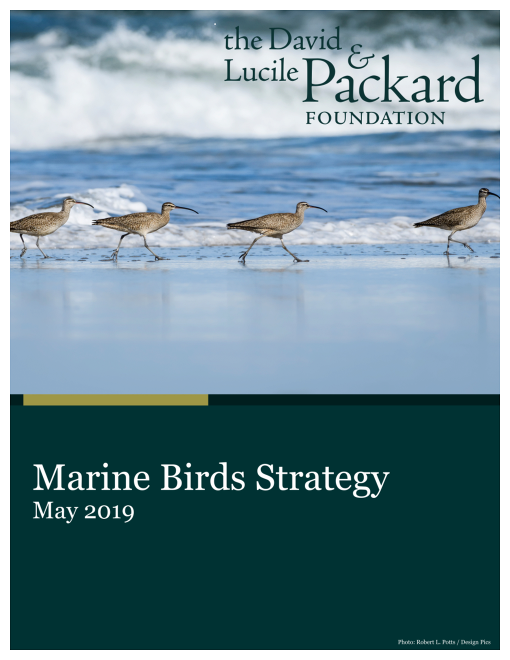 Marine Birds Strategy 2019