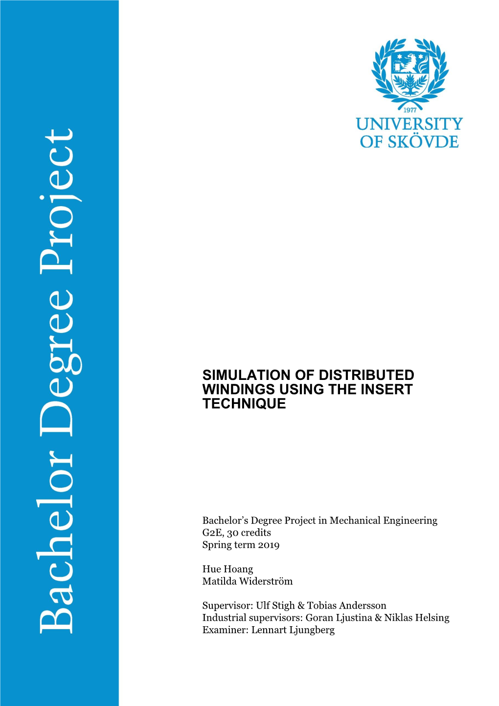 Simulation of Distributed Windings Using the Insert Technique