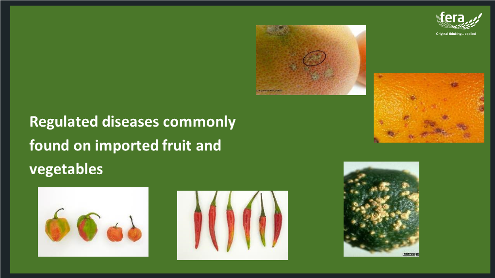 Regulated Diseases Commonly Found on Imported Fruit and Vegetables Import Interceptions