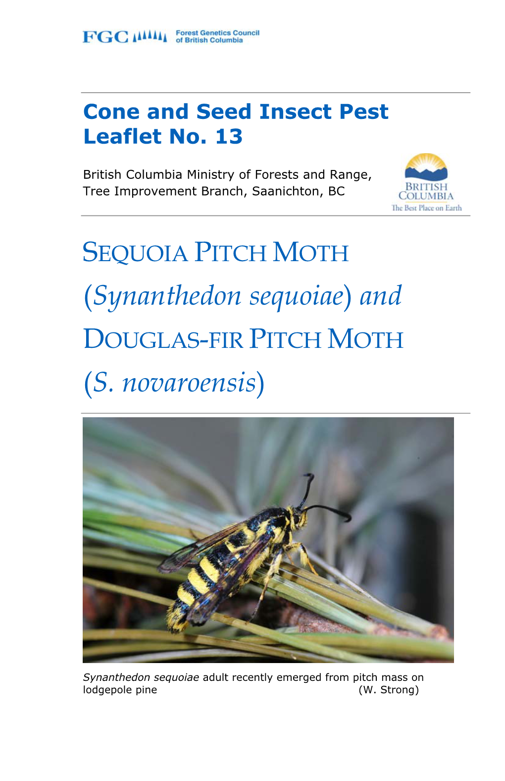 (Synanthedon Sequoiae) and DOUGLAS-FIR PITCH MOTH (S