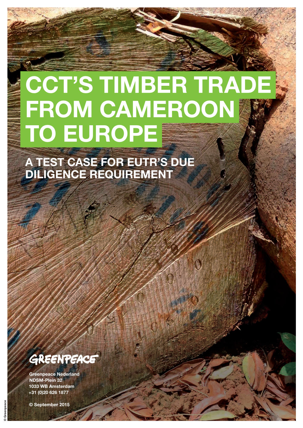 Cct's Timber Trade from Cameroon to Europe