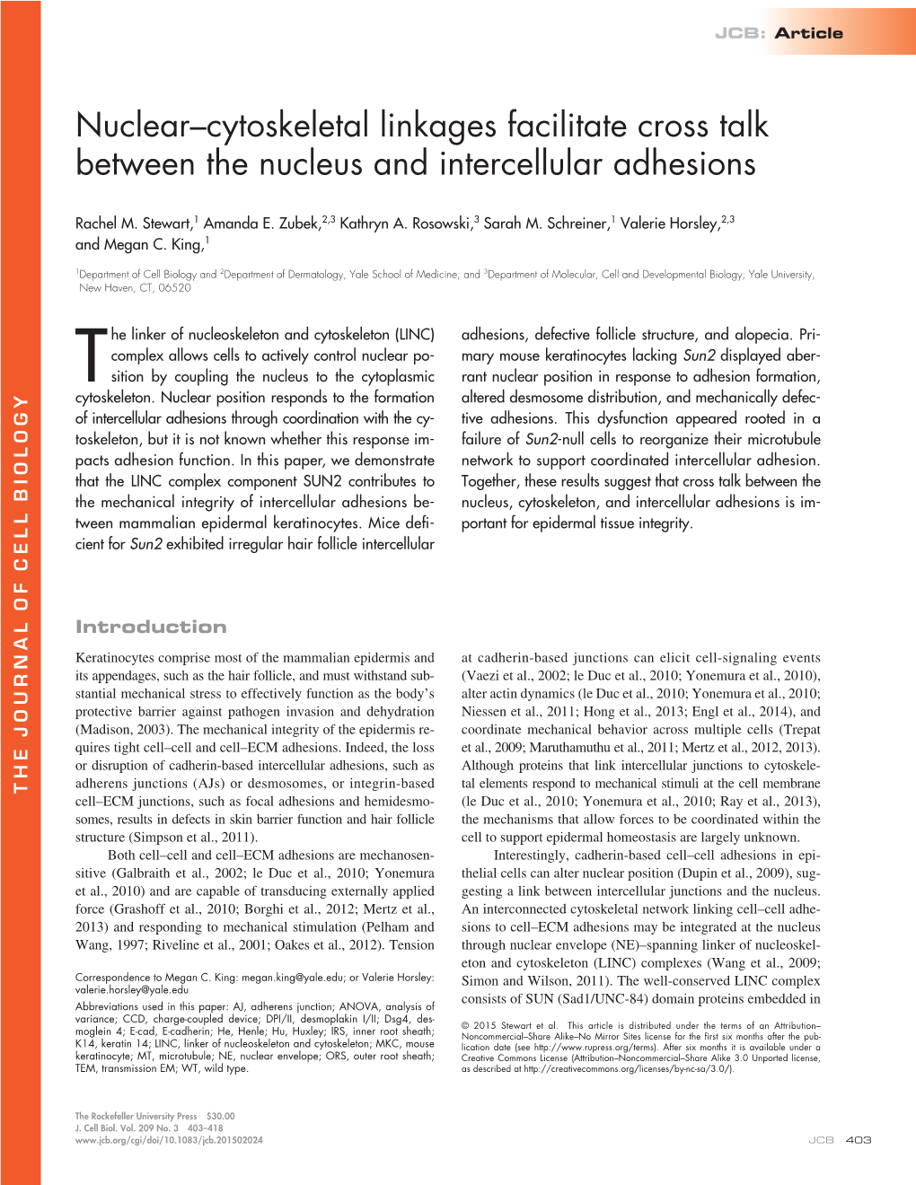 Nuclear–Cytoskeletal Linkages Facilitate Cross Talk Between the Nucleus and Intercellular Adhesions