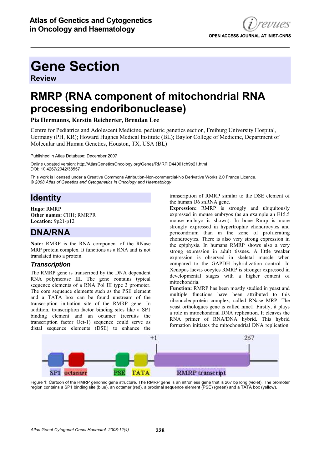 Gene Section Review