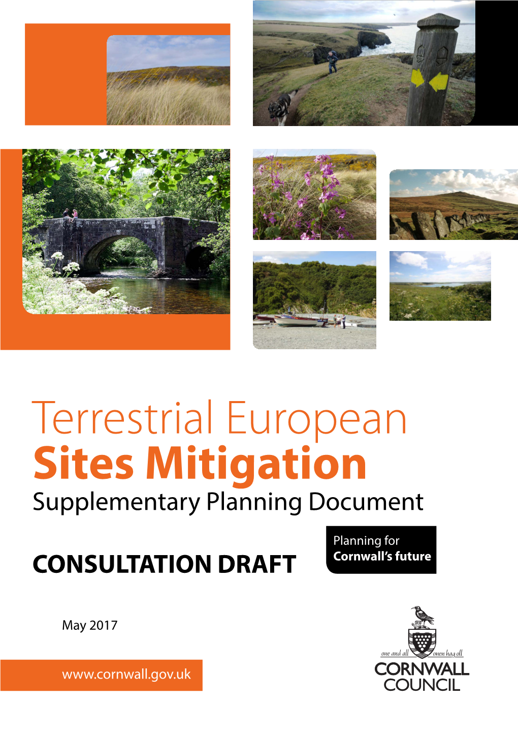 Terrestrial European Sites Mitigation Supplementary Planning Document