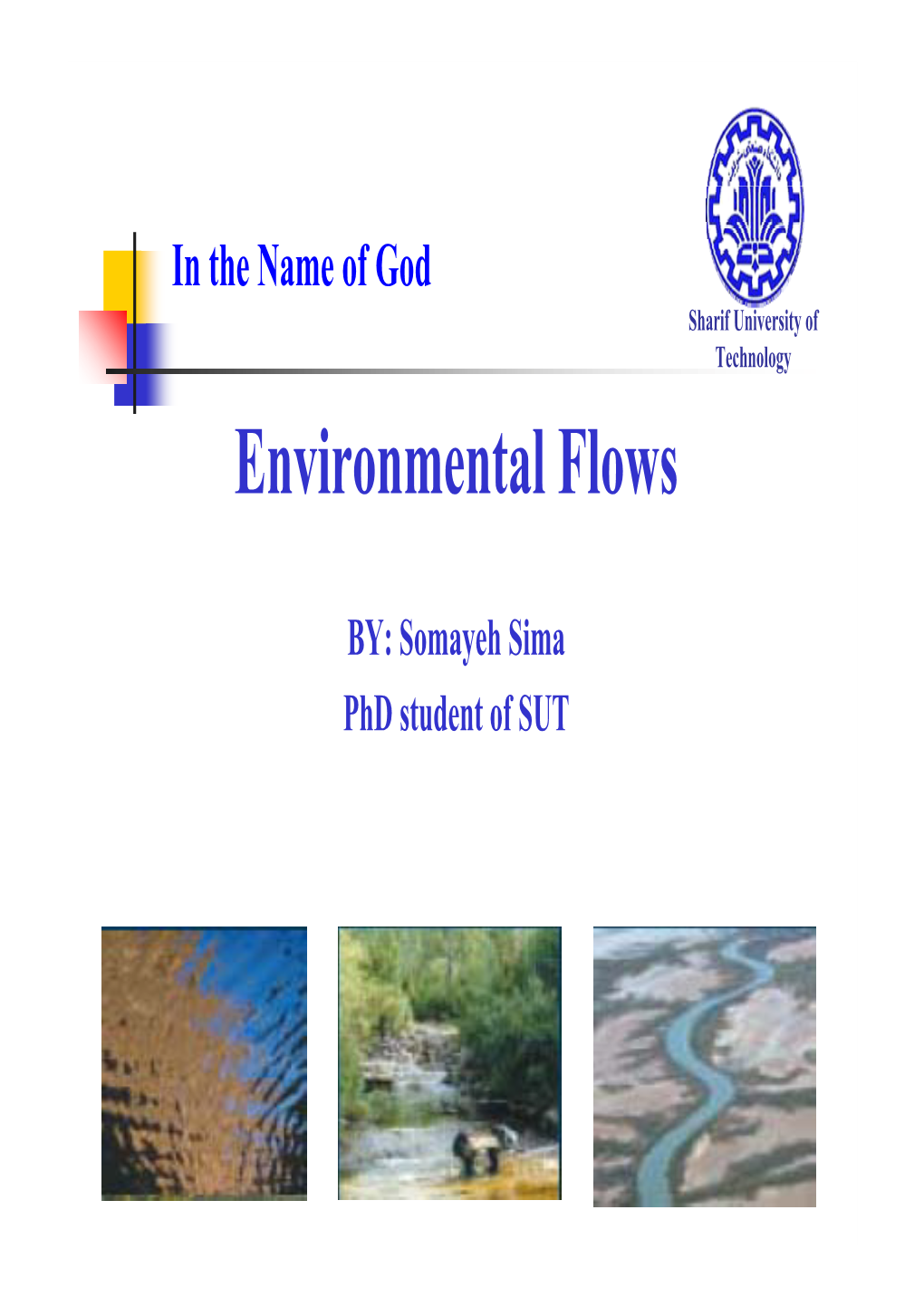 Environmental Flows