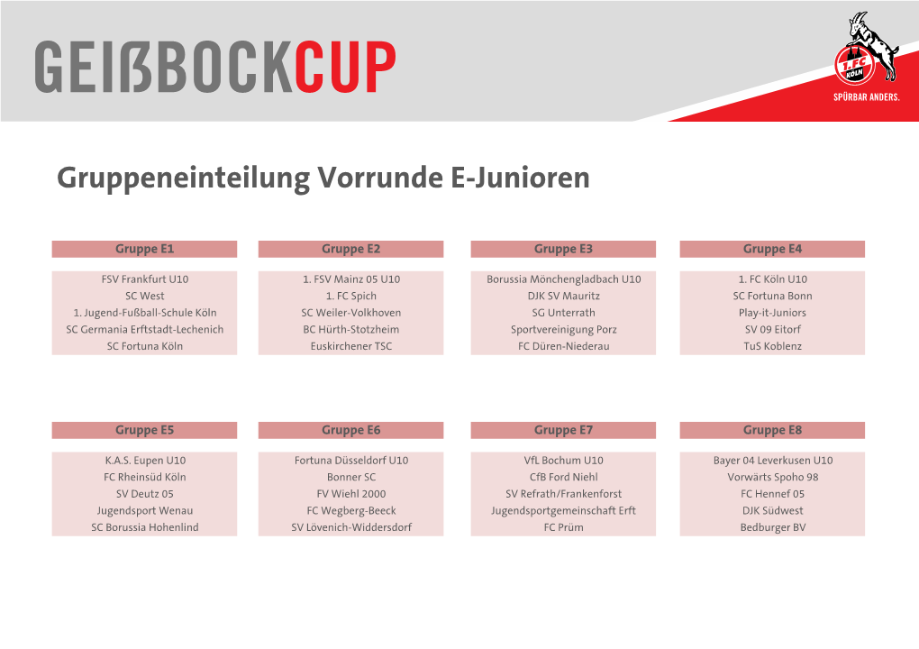 Gruppeneinteilung Vorrunde E-Junioren