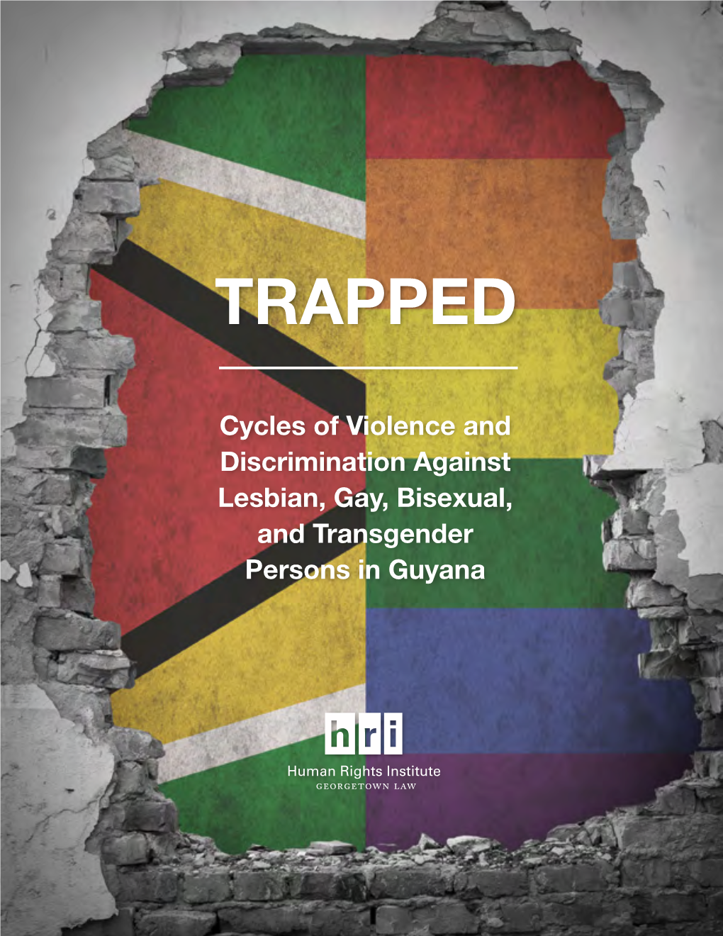 Trapped : Cycles of Violence and Discrimination Against Lesbian