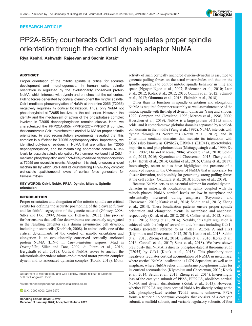 PP2A-B55γ Counteracts Cdk1 and Regulates Proper Spindle Orientation Through the Cortical Dynein Adaptor Numa Riya Keshri, Ashwathi Rajeevan and Sachin Kotak*