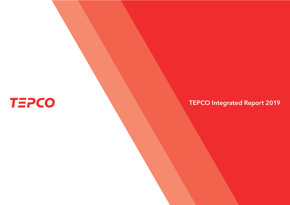 TEPCO Integrated Report 2019 TEPCO INTEGRATED REPORT 2019
