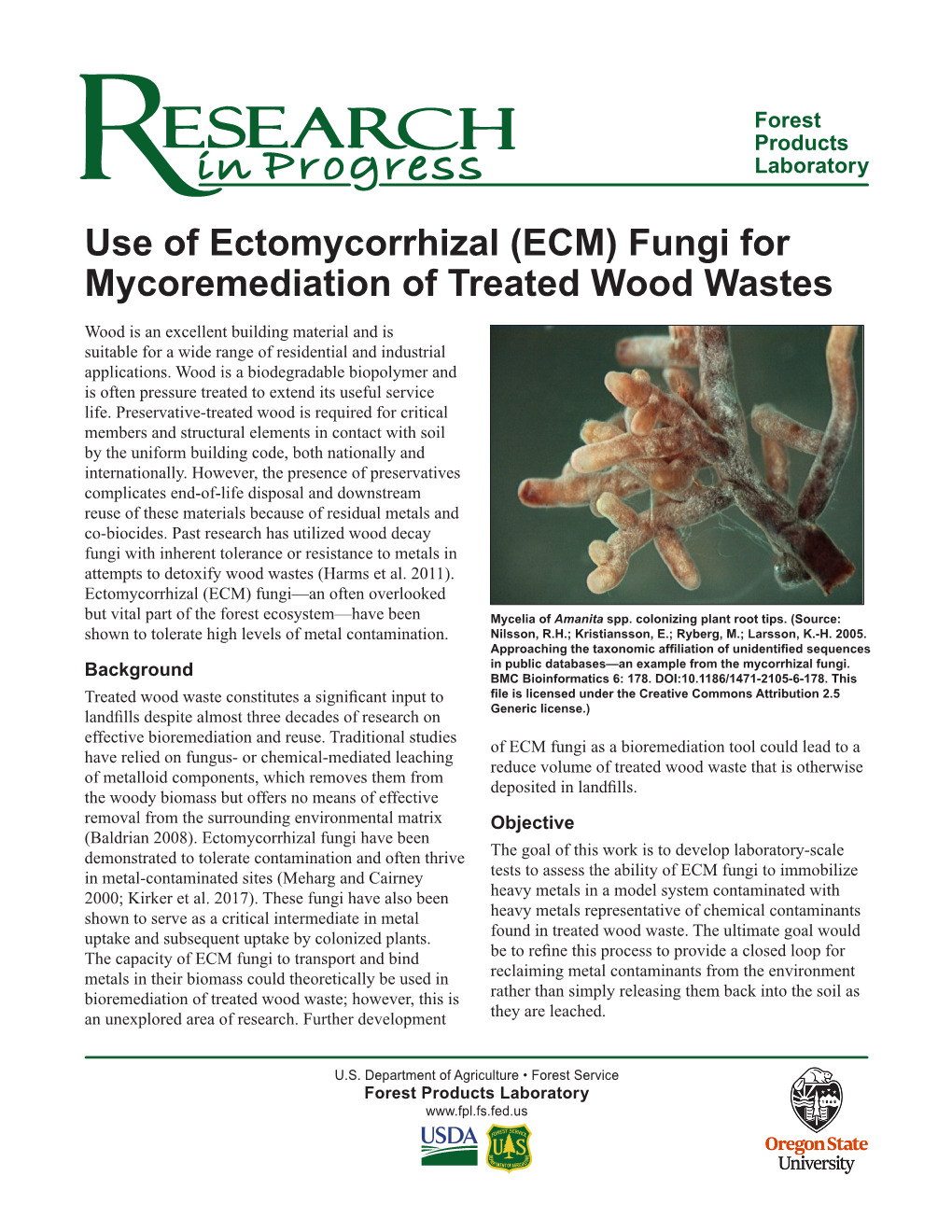 (ECM) Fungi for Mycoremediation of Treated Wood Wastes