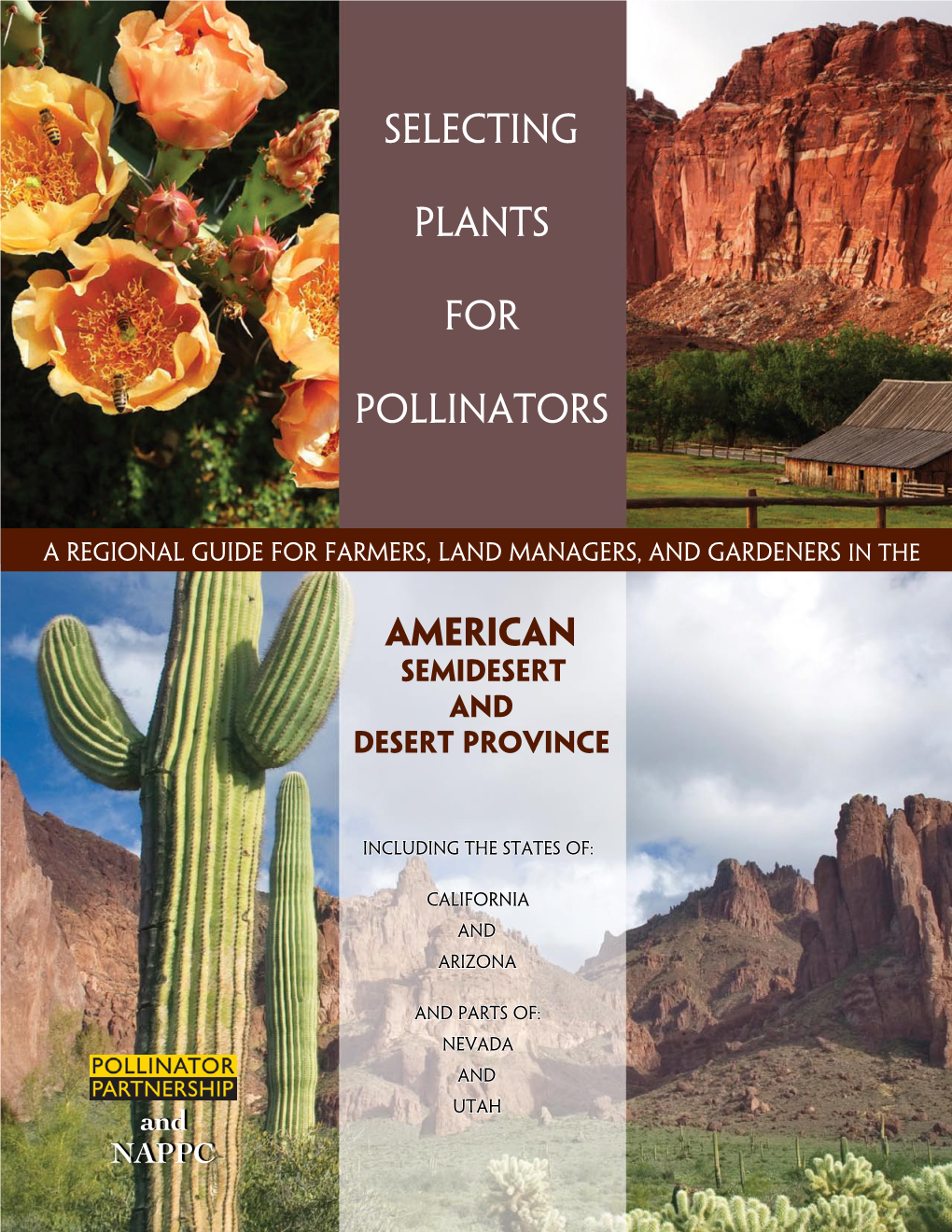 Selecting Plants for Pollinators in the American Semidesert and Desert