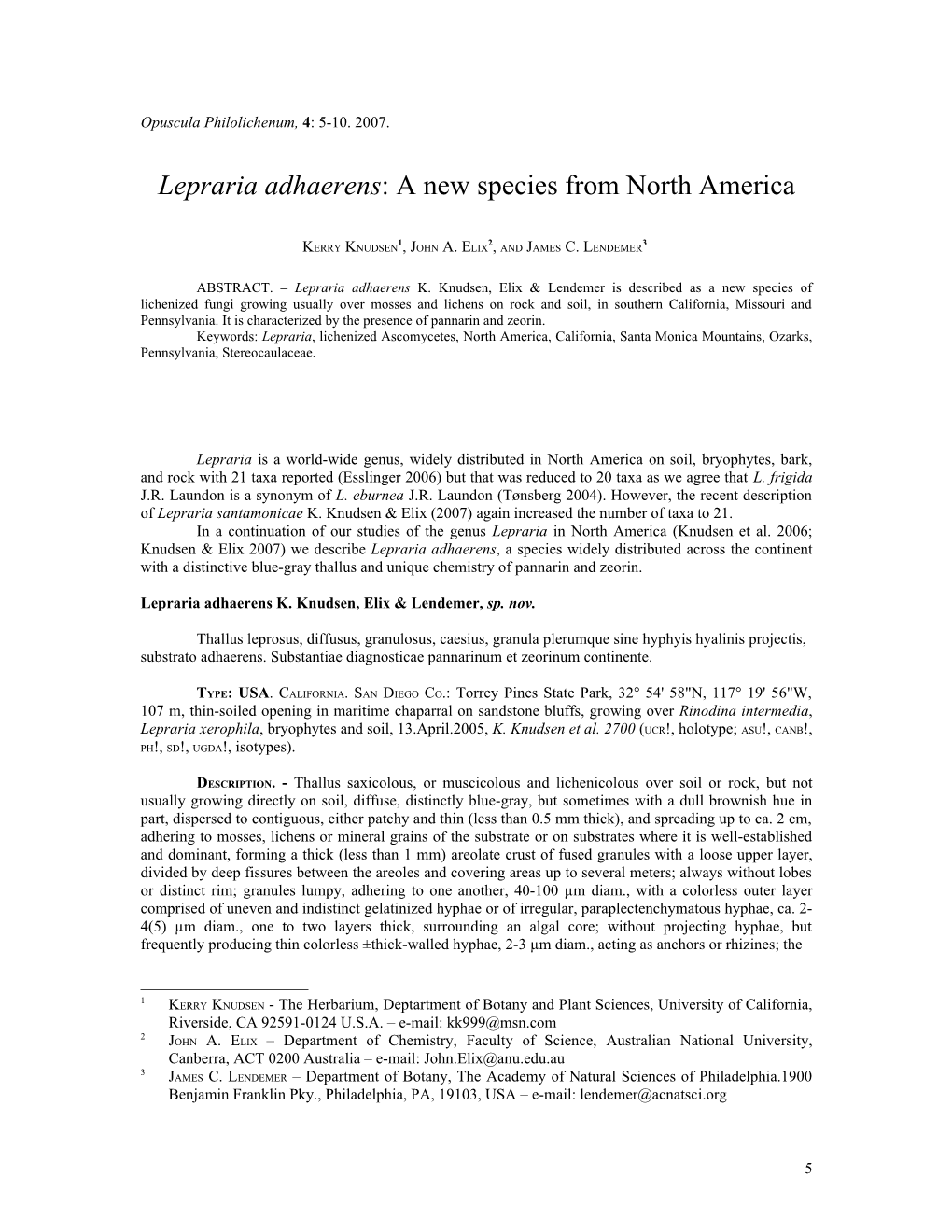 Lepraria Adhaerens: a New Species from North America