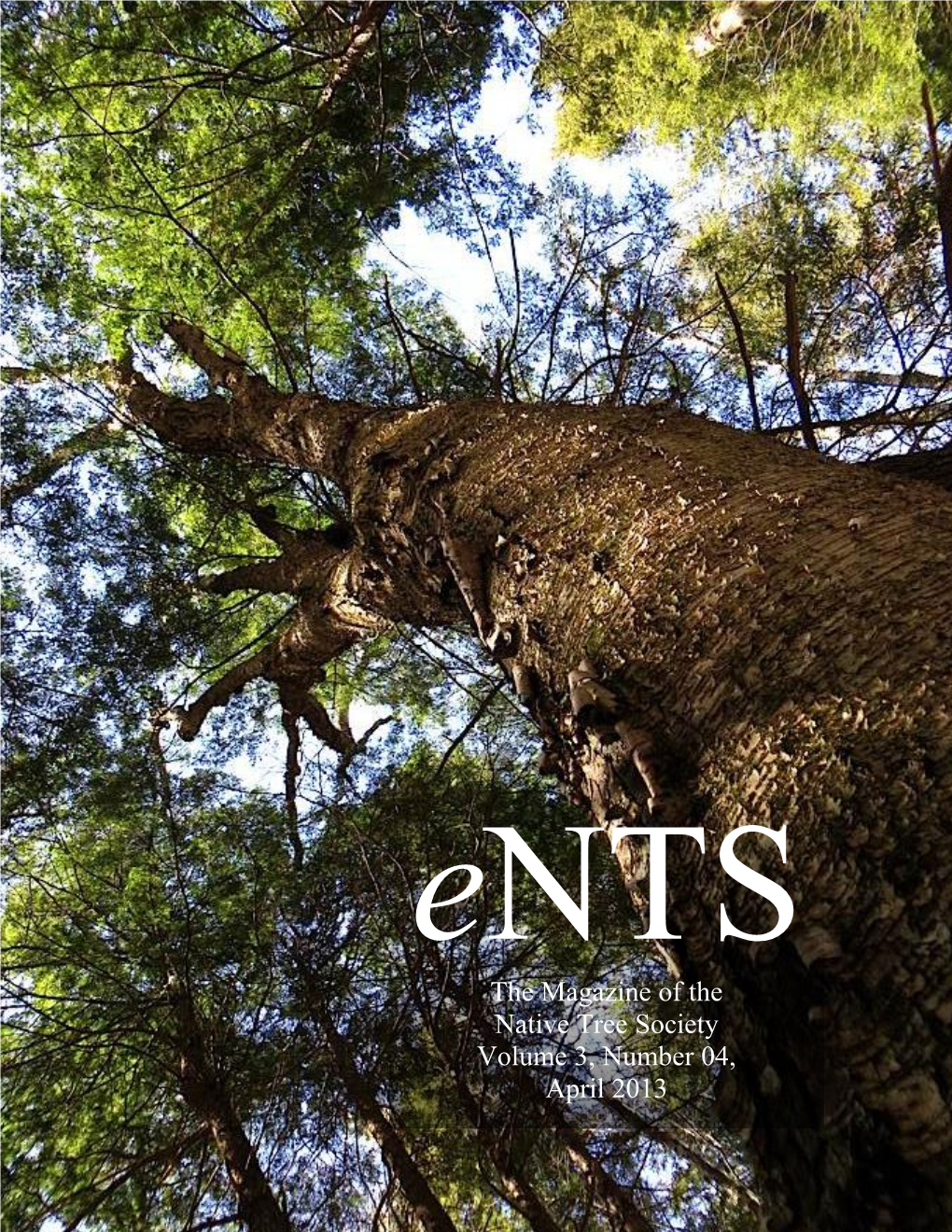 The Magazine of the Native Tree Society Volume 3, Number 04, April 2013