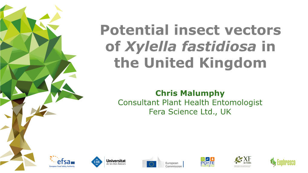 Potential Insect Vectors of Xylella Fastidiosa in the United Kingdom