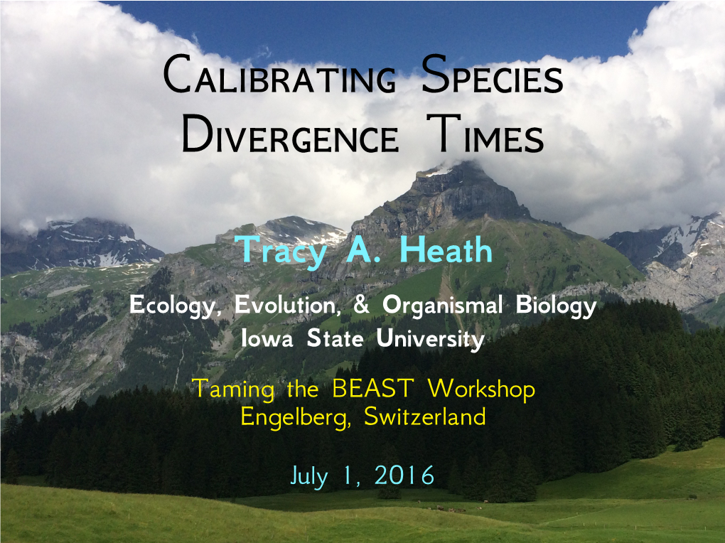 Calibrating Species Divergence Times