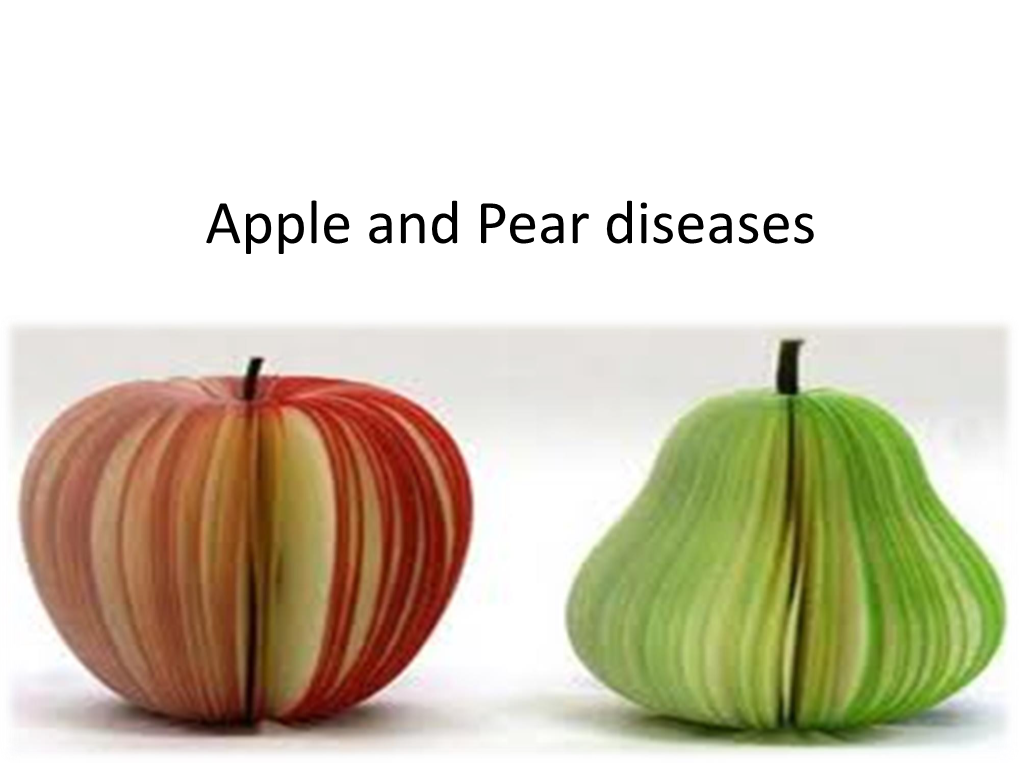 Apple and Pear Diseases Apple and Pear Scab(Black Spot) Pathogen: Venturia Inaequalis Apple Venturia Pirina Pear the Apple Scab Fungus Survive Winter in Fallen Leaves