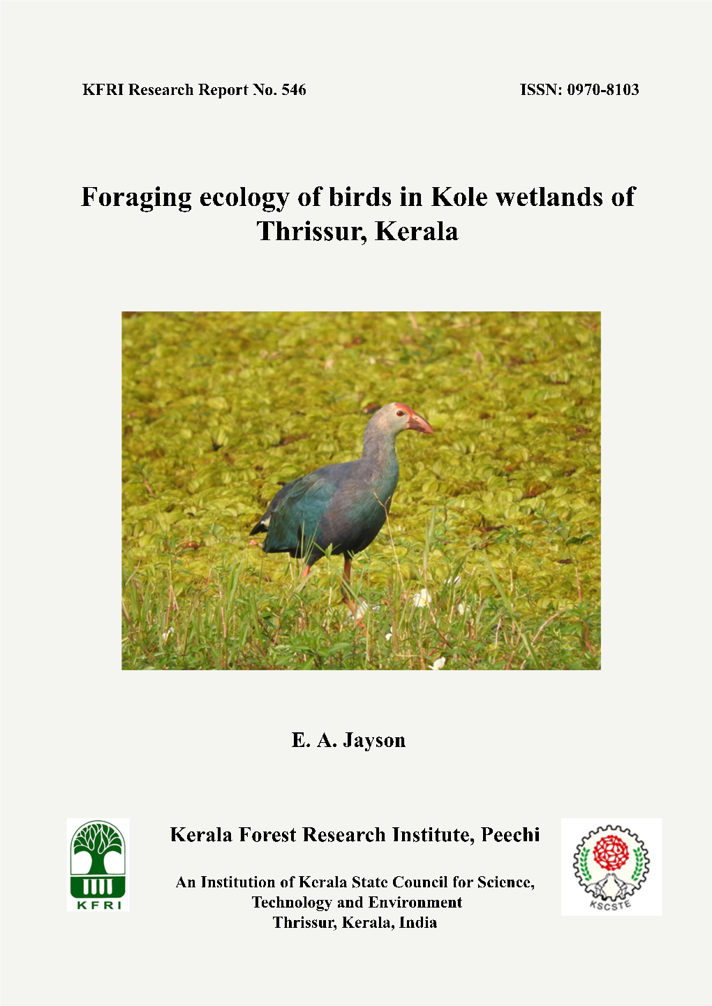 Foraging Ecology of Birds in Kole-Wetlands of Thrissur, Kerala