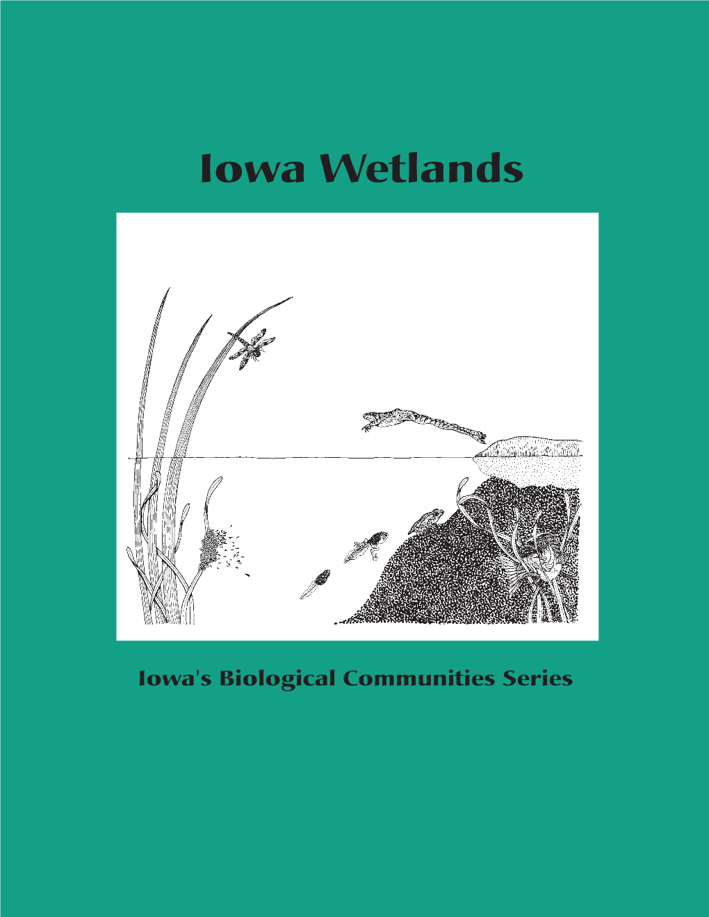 Iowa Wetlands