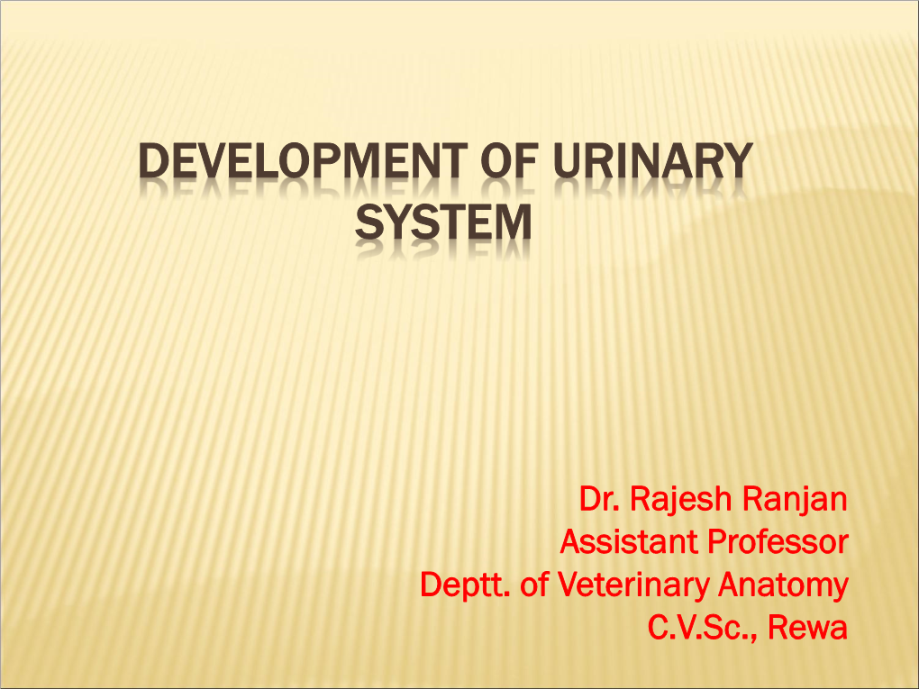 Development of Urinary System