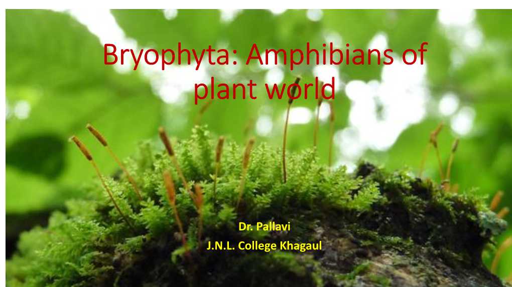 Bryophyta: Amphibians of Plant World