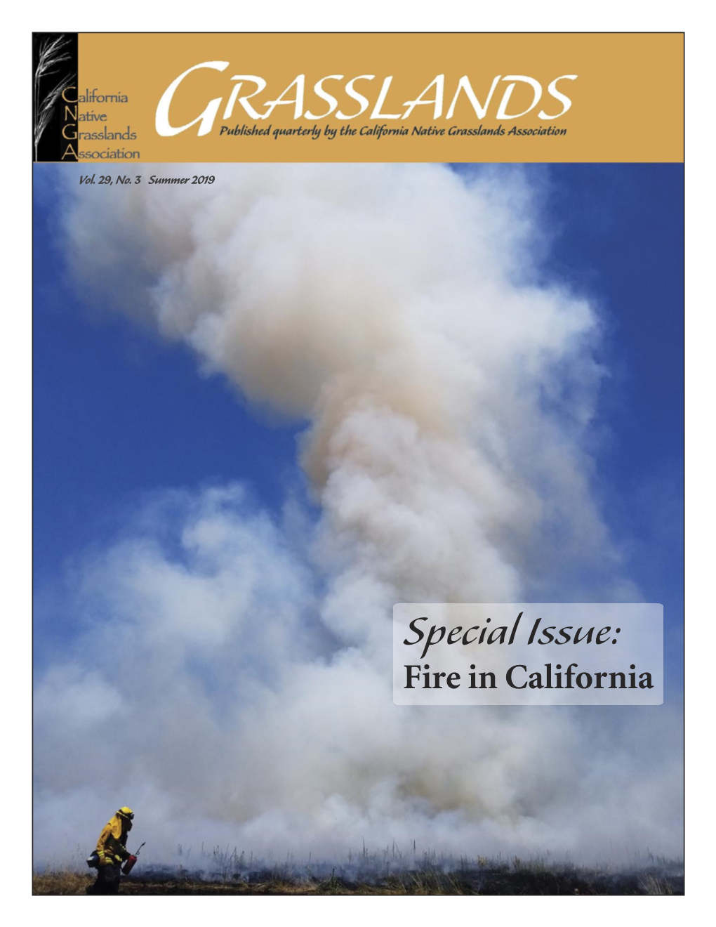 Special Issue: Fire in California from the President’S Keyboard