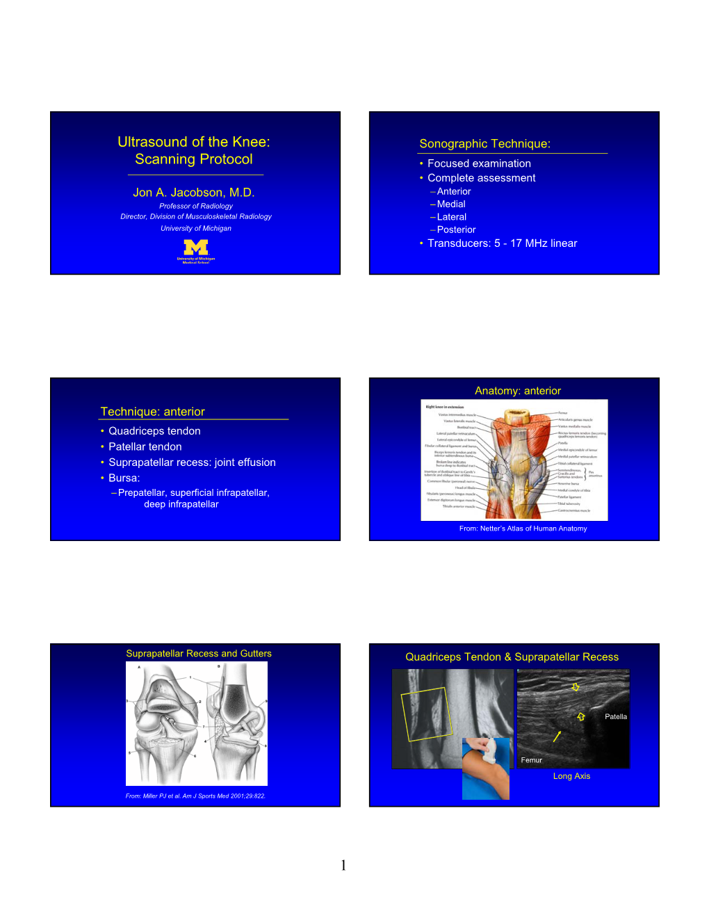 Ultrasound of the Knee: Scanning Protocol