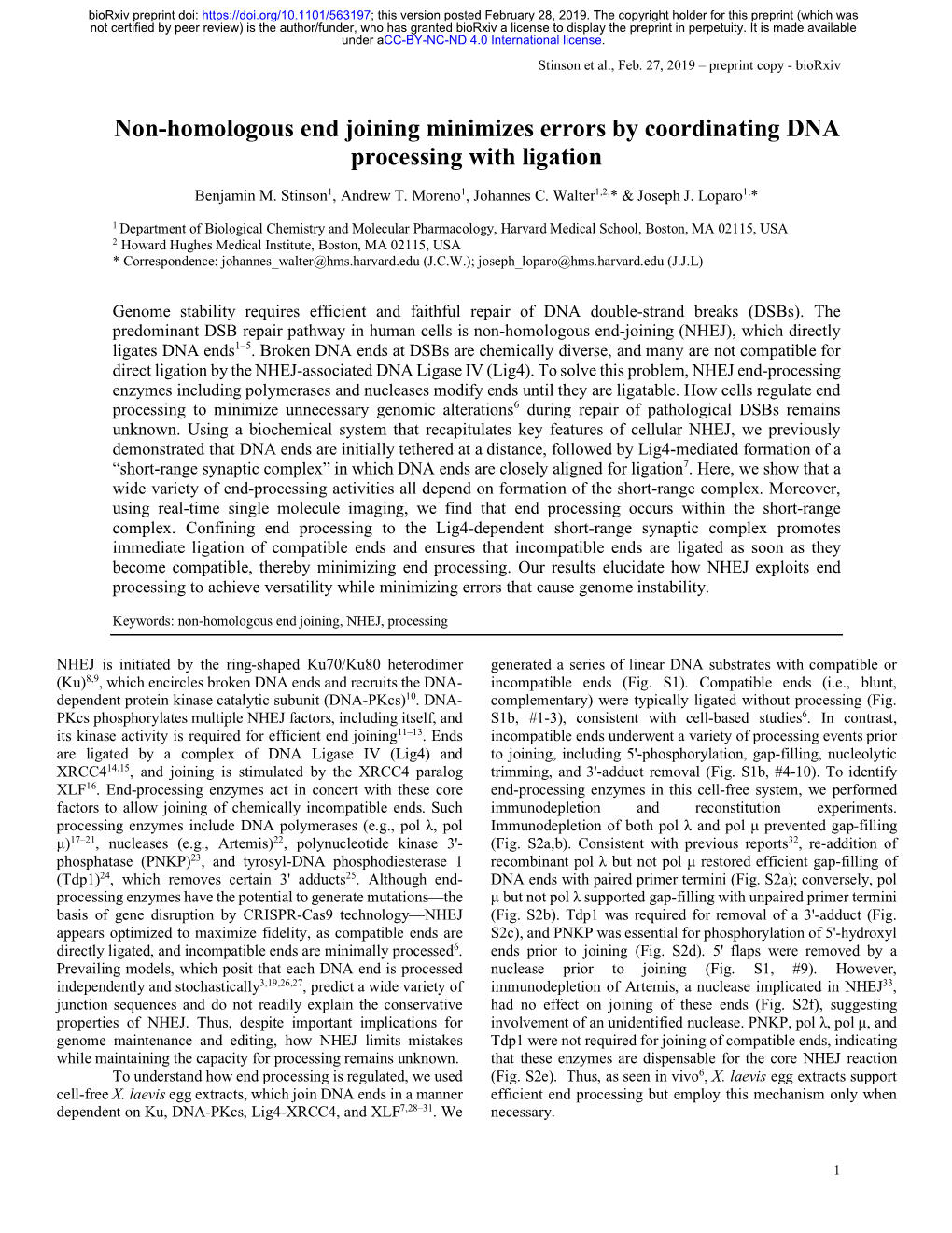 Non-Homologous End Joining Minimizes Errors by Coordinating DNA Processing with Ligation