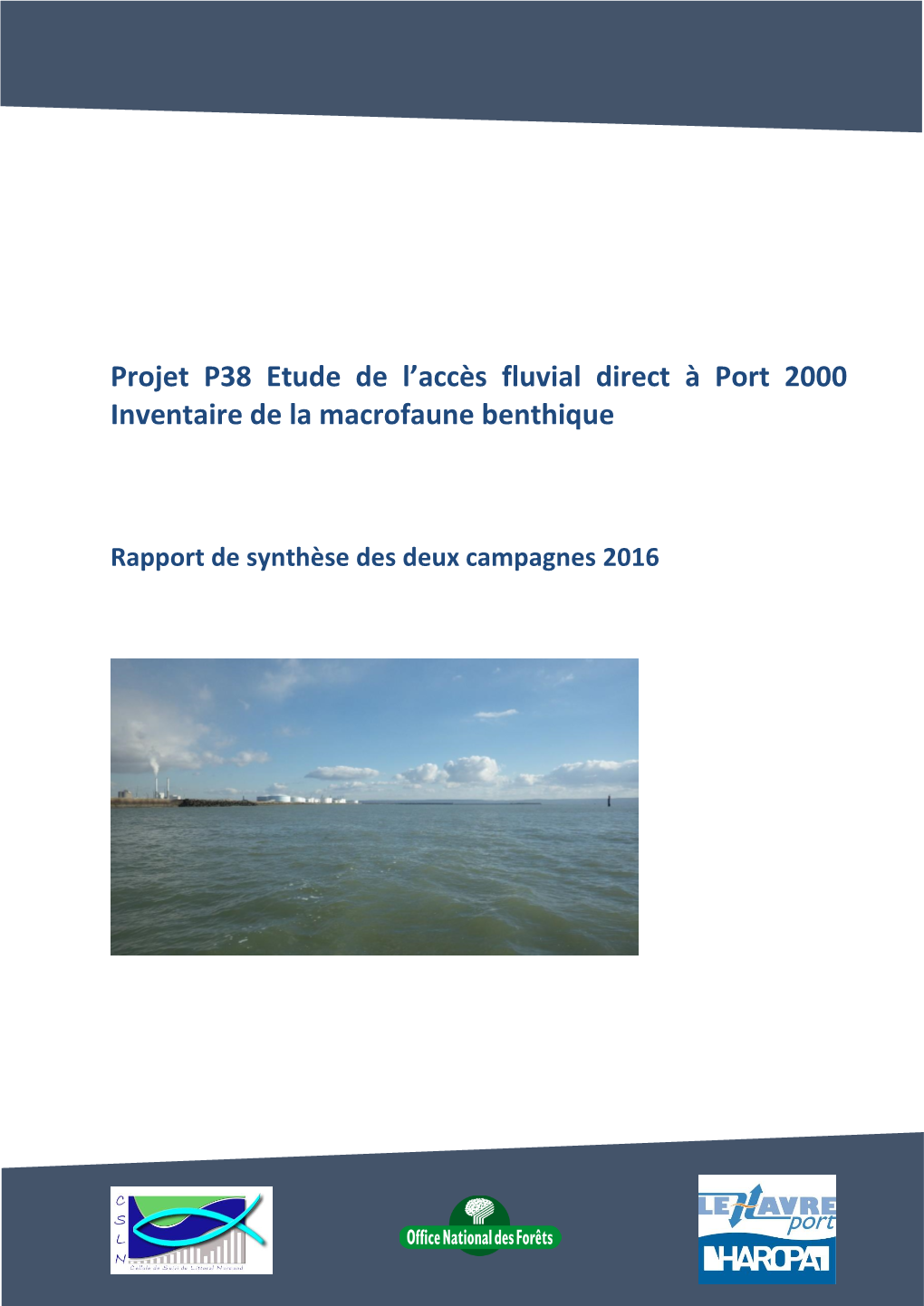 Projet P38 Etude De L'accès Fluvial Direct À Port 2000 Inventaire De La