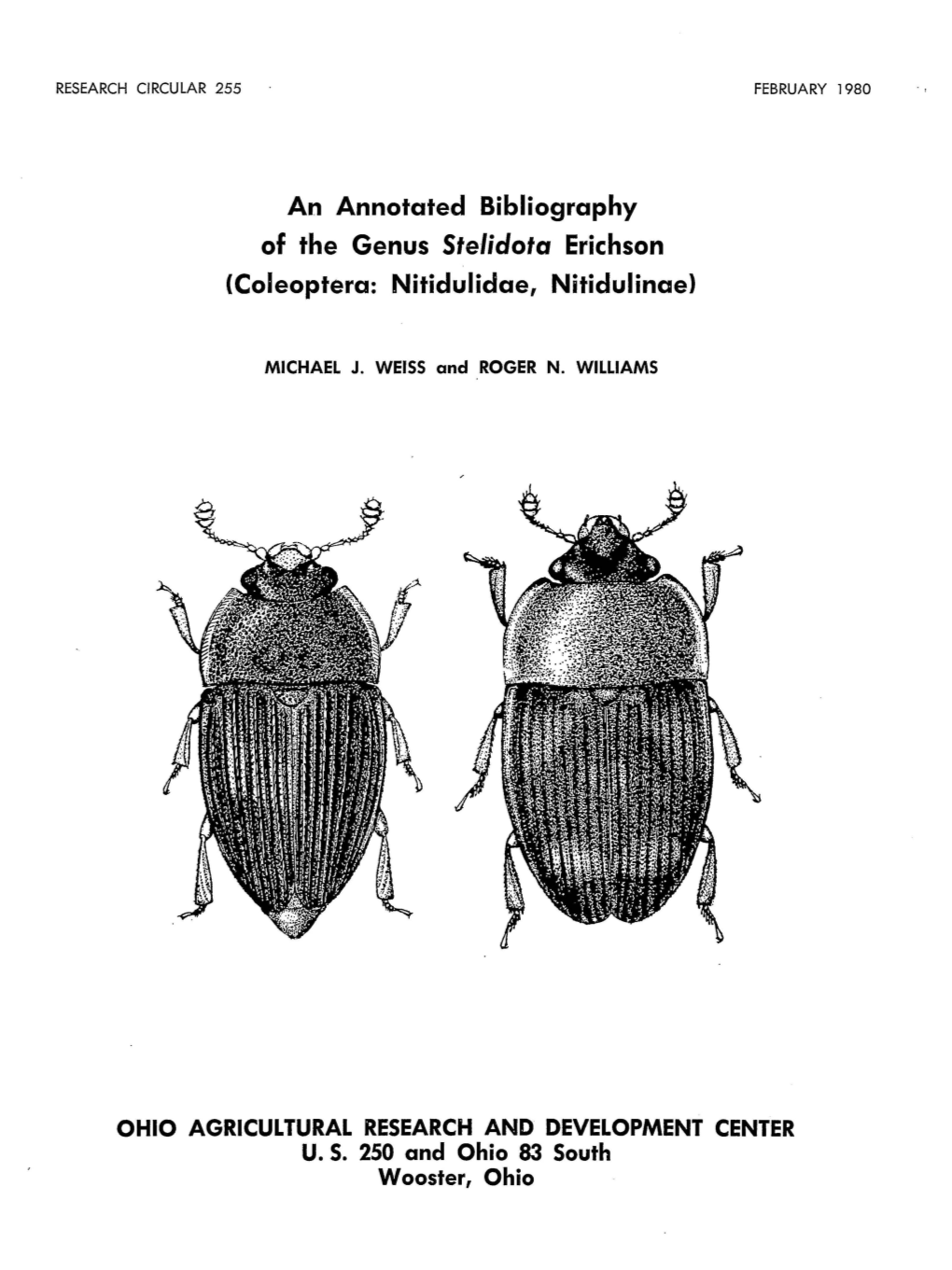 Of the Genus Stelidota Erichson (Coleoptera: Nitidulidae, Nitidulinae)